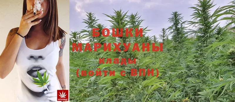 Каннабис LSD WEED  hydra как войти  Тарко-Сале 